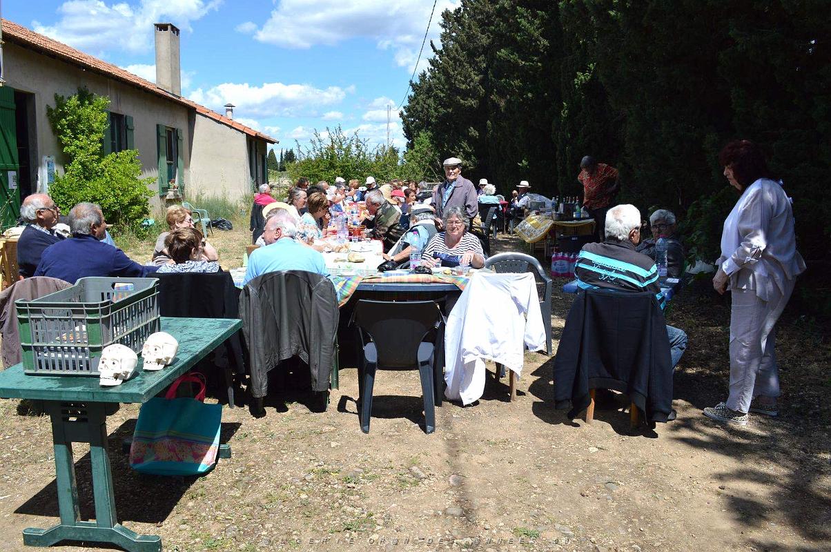 2016 05 19 ETANG DE BERRE PAELLA AVEC LE CERCLE ALGERIANISTE (54).JPG